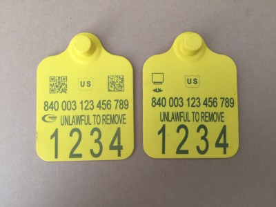 Cattle Tags 400x300 Services